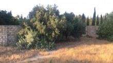 goradil heyet evi elanlari, -4