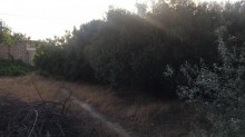 goradil heyet evi elanlari, -6