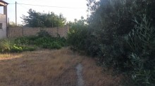 goradil heyet evi elanlari, -7