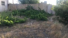 goradil heyet evi elanlari, -8