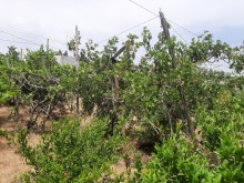Satılır Torpaq, Xəzər.r, Mərdəkan, Koroğlu.m-5
