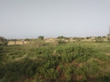 Satılır Torpaq, Sabunçu.r, Nardaran, Koroğlu.m-1