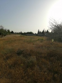 Satılır Torpaq, Xəzər.r, Mərdəkan-1