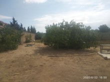 Satılır Torpaq, Xəzər.r, Mərdəkan, Koroğlu.m-4