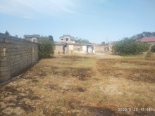 Satılır Torpaq, Xəzər.r, Mərdəkan, Koroğlu.m-5