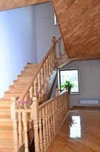 Saray postuna yaxin evlerin satisi, -11