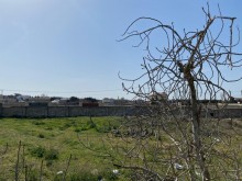 Satılır Torpaq, Xəzər.r, Mərdəkan, Koroğlu.m-4