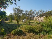 mərdəkan villa elanlari, -16