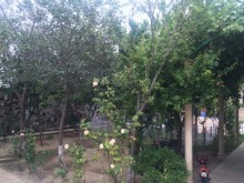Satılır Villa, Abşeron.r, Novxanı-6