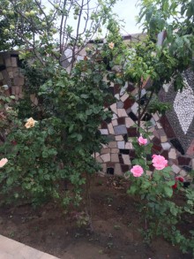 Satılır Villa, Abşeron.r, Novxanı-9