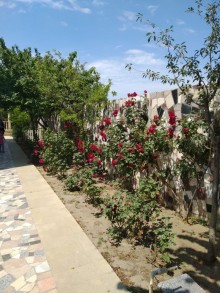 Satılır Villa, Abşeron.r, Novxanı-19