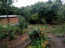 Satılır Həyət evi, Oğuz.ş-3