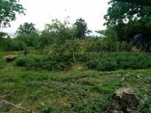Satılır Həyət evi, Oğuz.ş-11