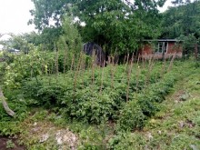 Satılır Həyət evi, Oğuz.ş-12