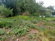 Satılır Həyət evi, Oğuz.ş-13