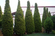 fatmai villa, -2