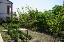 fatmai villa, -4