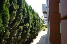 fatmai villa, -10