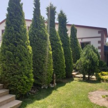fatmai villa, -19