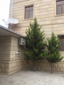 Satılır Həyət evi, Səbail.r, Badamdar-3