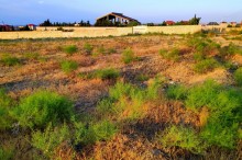 Satılır Torpaq, Abşeron.r, Fatmayi-9