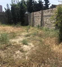 Satılır Torpaq, Xəzər.r, Mərdəkan, Koroğlu.m-8