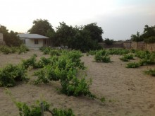 Satılır Həyət evi, Sabunçu.r, Bilgəh-3
