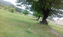 Satılır Torpaq, Qəbələ.ş-2