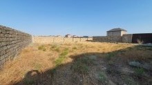 Satılır Torpaq, Xəzər.r, Türkan-12