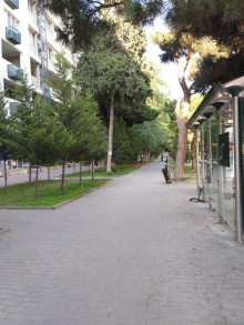 Satılır Köhnə Tikili, Nəsimi.r, 28 May.m-20