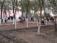 Satılır Obyekt, Binəqədi.r-1