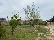 Satılır Torpaq, Xəzər.r, Mərdəkan, Koroğlu.m-4