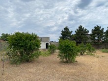 Satılır Torpaq, Sabunçu.r, Albalı, Koroğlu.m-2