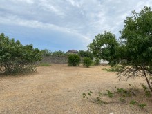 Satılır Torpaq, Sabunçu.r, Albalı, Koroğlu.m-3