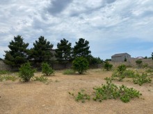 Satılır Torpaq, Sabunçu.r, Albalı, Koroğlu.m-5