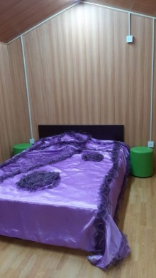 Satılır Həyət evi, Abşeron.r, Saray-10