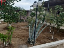 Satılır Həyət evi, Sabunçu.r, Bilgəh-3