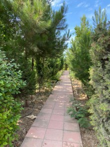 Kirayə (Aylıq) Həyət evi, Sabunçu.r, Bilgəh-2