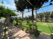 Kirayə (Aylıq) Həyət evi, Sabunçu.r, Bilgəh-8