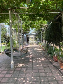 Kirayə (Aylıq) Həyət evi, Sabunçu.r, Bilgəh-9