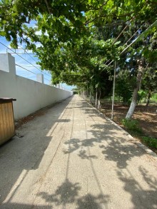 Kirayə (Aylıq) Həyət evi, Sabunçu.r, Bilgəh-12