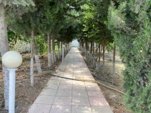 Kirayə (Aylıq) Həyət evi, Sabunçu.r, Bilgəh-14