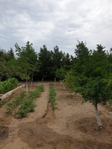 Satılır Həyət evi, Xəzər.r, Buzovna-6