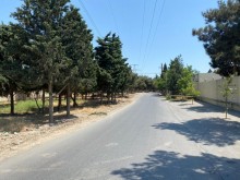 Satılır Torpaq, Xəzər.r, Mərdəkan, Koroğlu.m-1