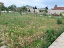 Satılır Həyət evi, Abşeron.r, Novxanı-6