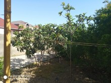 Satılır Həyət evi, Sabunçu.r, Maştağa-12