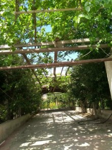 Satılır Həyət evi, Səbail.r, Şıxov-6