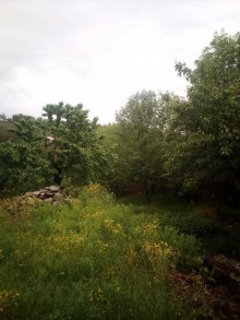 Satılır Həyət evi, Quba.ş-4