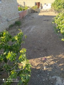 Satılır Torpaq, Sabunçu.r, Savalan, Koroğlu.m-8
