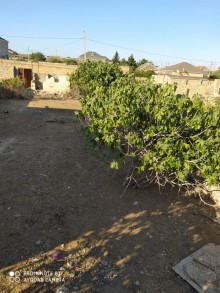 Satılır Torpaq, Sabunçu.r, Savalan, Koroğlu.m-17